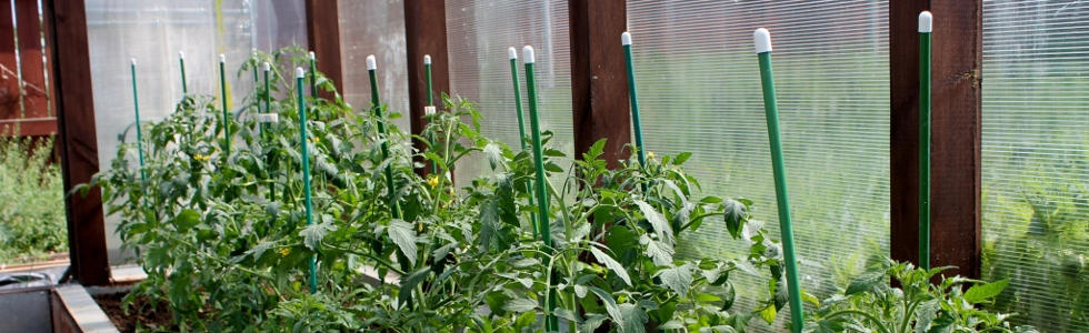 ОПОРЫ ДЛЯ РАСТЕНИЙ