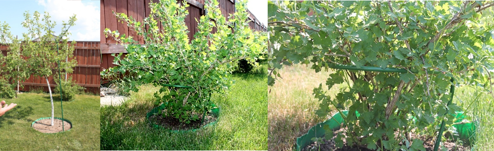 КУСТОДЕРЖАТЕЛИ И ОПОРЫ