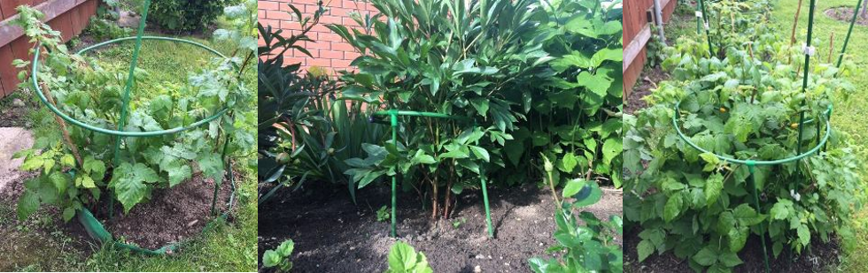 КУСТОДЕРЖАТЕЛИ